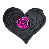 Longlife Rozenhartje zwart roze - thumbnail
