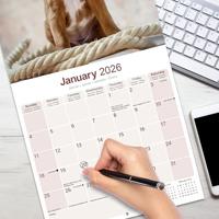 Boxer Kalender 2026 - thumbnail