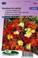 Erysimum Cheiri zaden Fair Lady Muurbloem - thumbnail