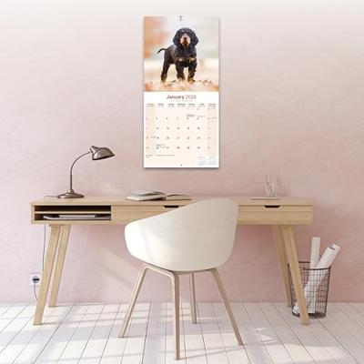 Gordon Setter Calendar 2026 Square Dog Breed Wall Calendar - 16 Month