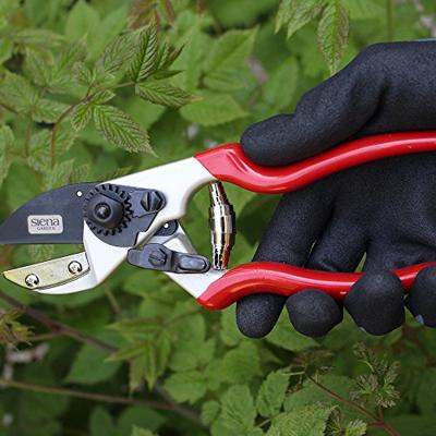 Siena Garden CG1090 Grasschaar 21 cm Amboss