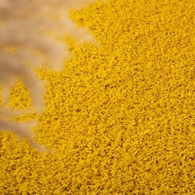 Tapeso Hoogpolig vloerkleed shaggy Trend effen - geel - 80x150 cm