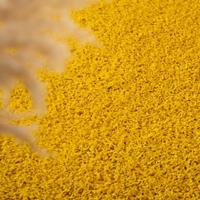 Tapeso Hoogpolig vloerkleed shaggy Trend effen - geel - 80x150 cm - thumbnail