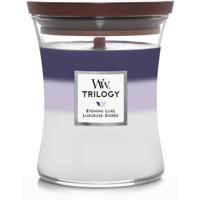 WoodWick trilogy evening luxe medium candle - thumbnail