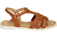 Apple of Eden AYLA 10 - alle - thumbnail