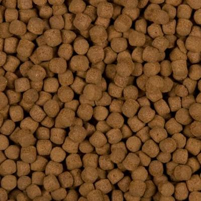 Sanikoi Excellent All-Round 6mm - Premium Koi Voer voor Groei & Kleurbevordering - 3L