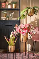 Mica Decorations pothouder Ascot 34x71 cm zwart - thumbnail