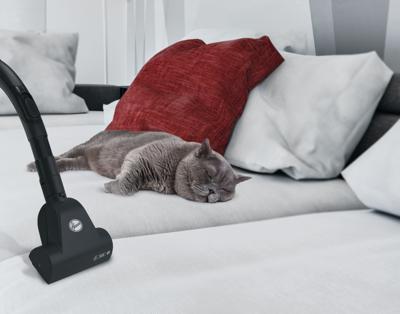 Stofzuiger Hoover Telios Extra Lite TXL20PET011 Grijs 700 W - thumbnail