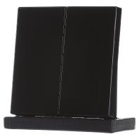 Jung LS990 drukknop serie voor serieschakelaar zwart