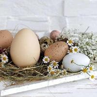 Ambiente pastel eggs papieren servetten - thumbnail