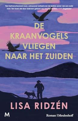 De kraanvogels vliegen naar het zuiden - Lisa Ridzén - ebook