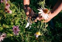 Fiskars Xseries PowerGear rolgrip snoeischaar bypass L P961 - 1057175 - thumbnail