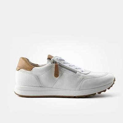 Paul Green 4085 - alle