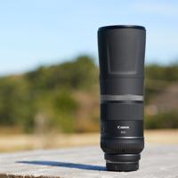 Canon RF 800mm F11 IS STM - thumbnail
