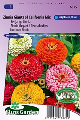 Zinnia Elegans zaden Giants of California mix