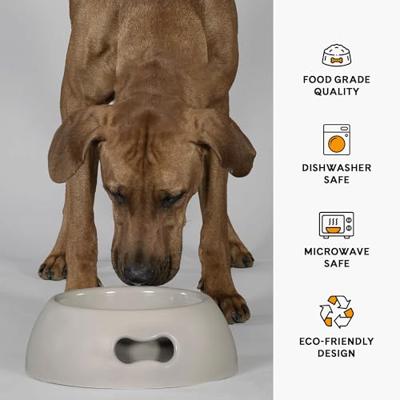 Voerbak voor honden United Pets Pappy 350 ml Grijs Polypropyleen