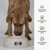 Voerbak voor honden United Pets Pappy 350 ml Grijs Polypropyleen - thumbnail