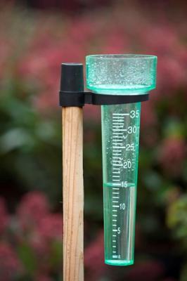 Nature Regenmeter