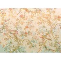 Komar Heritage Fotobehang Oiseau de Paradis - HX7-060 - thumbnail