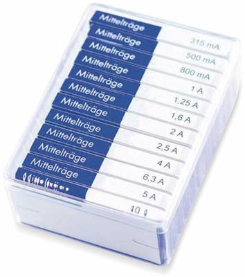 ESKA 632.820 632820 Buiszekering assortiment (Ø x l) 6.3 mm x 32 mm Normaal -mT- Inhoud 120 onderdelen ESKA 632.820 632820 Buiszekering assortiment (Ø x l) 6.3 mm x 32 mm Normaal -mT- Inhoud 120 onderdelen