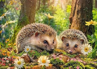 Cute Visitors Puzzel 500 Stukjes