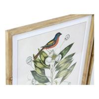Schilderij DKD Home Decor Bird 55 x 2,5 x 70 cm Tropisch Vogels (4 Onderdelen) - thumbnail