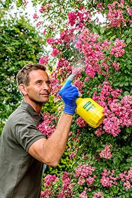 Gloria Haus und Garten 000860.0000 Hobby 10 FLEX Drukspuit 1 l Gloria Haus und Garten 000860.0000 Hobby 10 FLEX Drukspuit 1 l