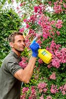 Gloria Haus und Garten 000860.0000 Hobby 10 FLEX Drukspuit 1 l - thumbnail