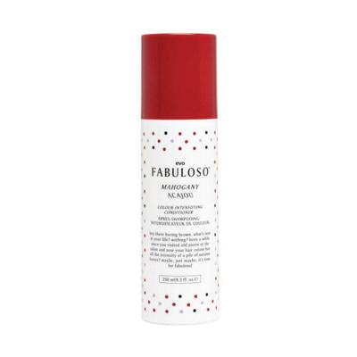 Evo Fabuloso Mahogany Colour Intensifying Treatment