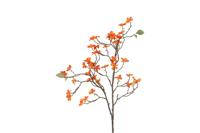 Kunsttak Malus oranje 30xH86,4cm - thumbnail