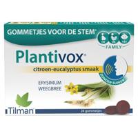 Plantivox Pastilles 24 - thumbnail
