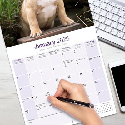 French Bulldog Calendar 2026 Square Dog Breed Wall Calendar - 16 Month