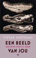 Een beeld van jou - Stefan Hertmans - ebook - thumbnail