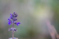 Tamron 150-500mm F/5-6.7 Di III VC VXD Nikon Z - thumbnail