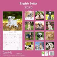 Engelse Setter Kalender 2026 - thumbnail