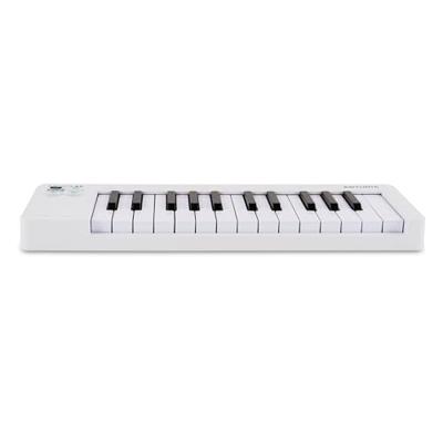 Arturia MicroLab MK3 White USB/MIDI keyboard