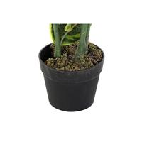 Decoratieve plant DKD Home Decor Polyethyleen Groen 40 x 40 x 120 cm Stads - thumbnail