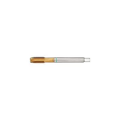 Promat/Tecwerk Machinetap | DIN 376B universele | M16x2 mm | HSS-Co TiN | 6H - 4000867703