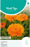 Calendula Off. Dubbel Oranjekoning - Hortitops - thumbnail