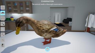 Mijn Leven - Dierenarts op de Boerderij Mijn Leven - Dierenarts op de Boerderij