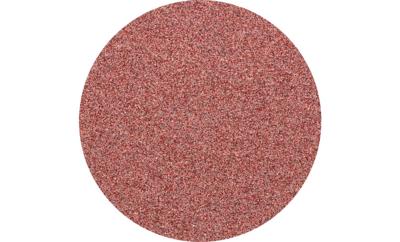 PFERD TOOLS CDR 38 A 80 FORTE 42771408 Schuurblad Korrelgrootte (num) 80 (Ø) 38 mm 100 stuk(s)