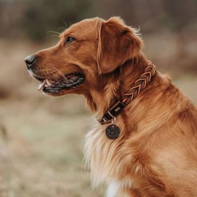 HUNTER Hondenhalsband Solid Education Cord, bruin-oranje, Maat: 55