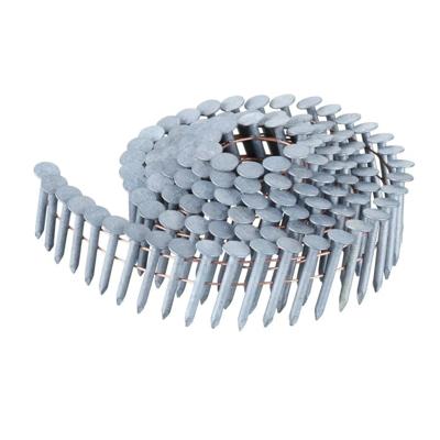 DeWalt Accessoires [DNR] Rolspijkers | 3.05-19 | G12 HOT DIP | gegalvaniseerd voor roofing - DNR3119HDZ