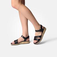 Paul Green 6112 - alle - thumbnail