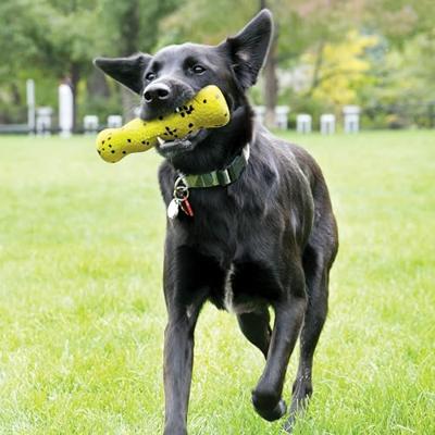 KONG Reflex Dog Stick