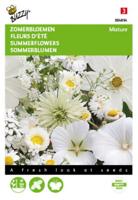 Zomerbloemen Witte Tinten - thumbnail