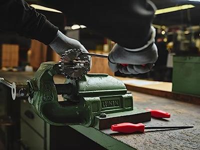 Dick 13092020H Vijl-/rasperset, kap 2, 5-delig, diverse vormen Lengte 200 mm 1 set(s)