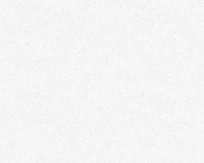 Renovlies Behang 25x1 m - 150 grams