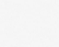Renovlies Behang 25x1 m - 150 grams - thumbnail
