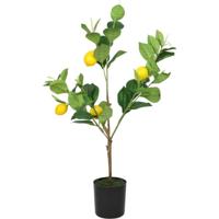 Kunstplant Citrus - thumbnail